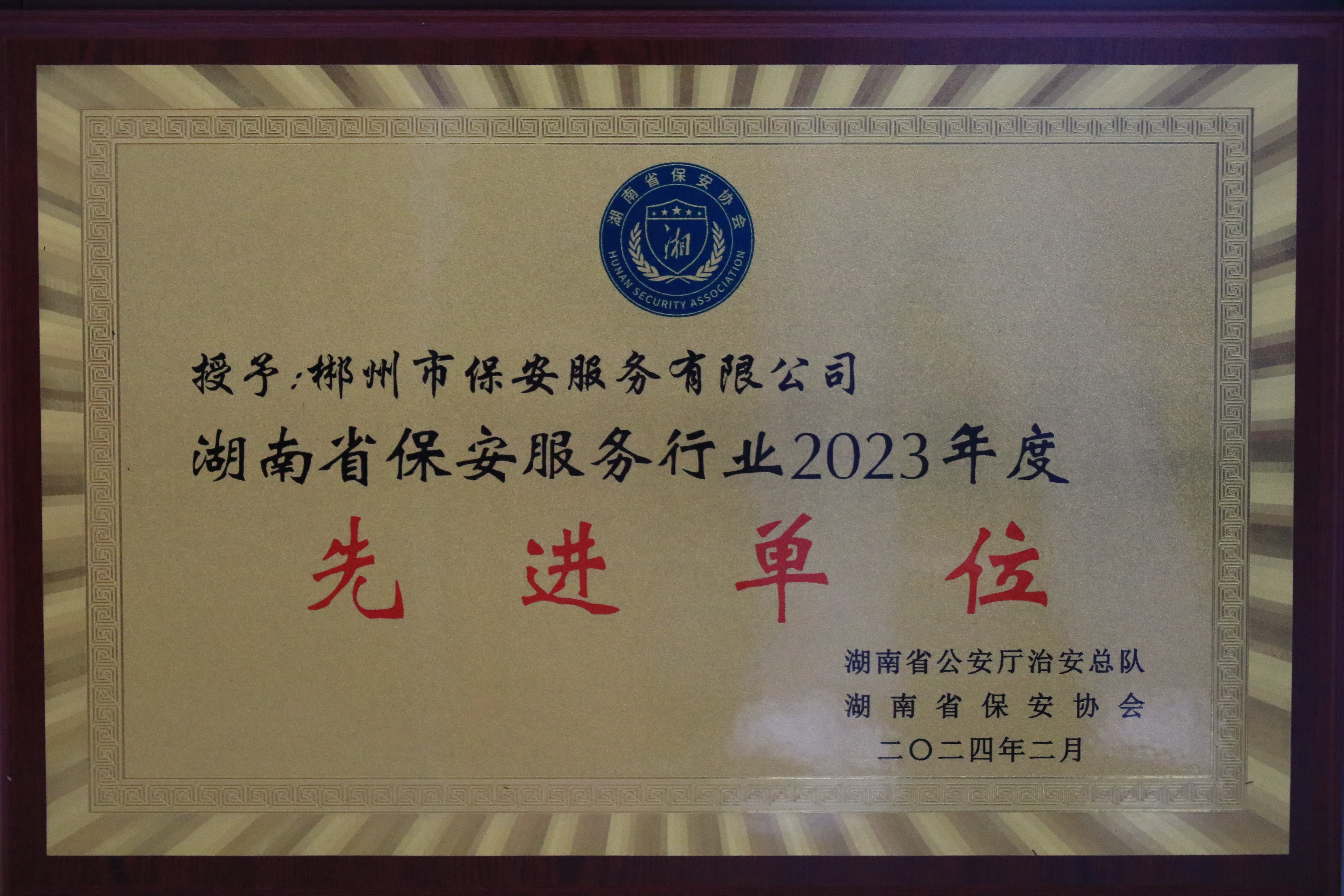 湖南省保安服務行業2023年度先進單位
